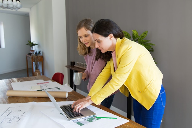 Content female architect and customer using laptop computer