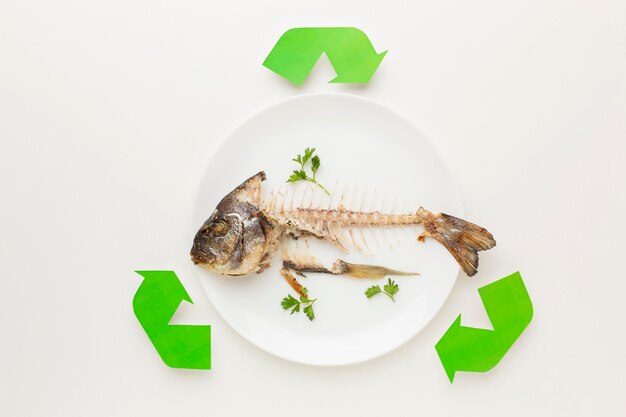 Cooked fish leftovers abstract recycle symbol