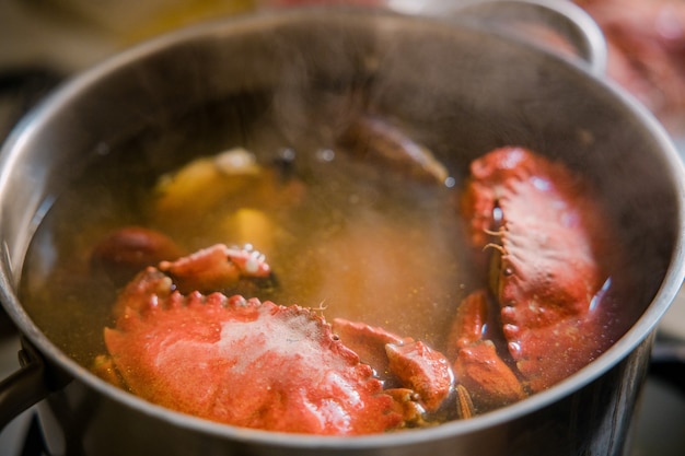 Cooked food in stainless steel cooking pot