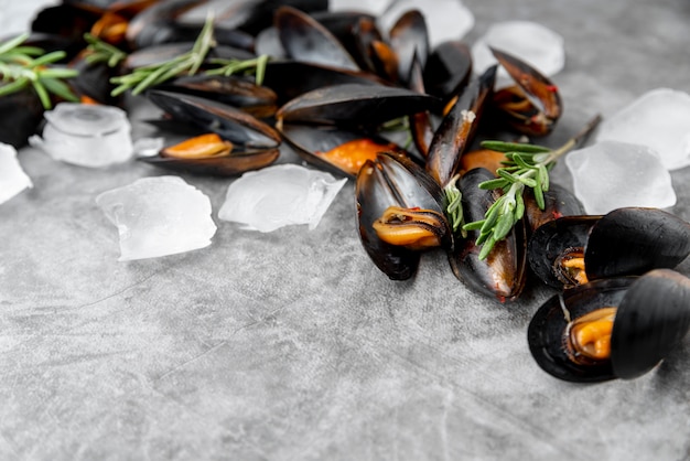 Cooked mussels with ice cubes