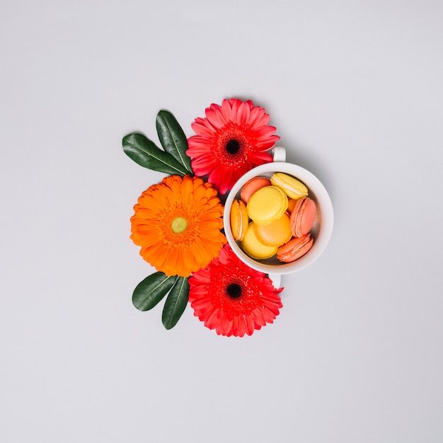 Cookies in cup with flowers buds on table