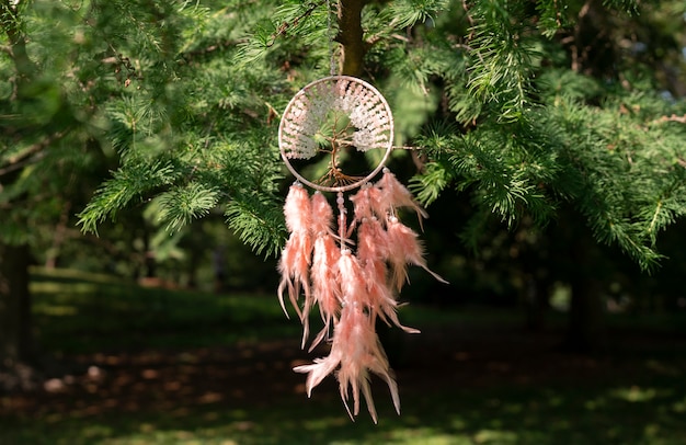 Free photo cool dream catcher outdoors