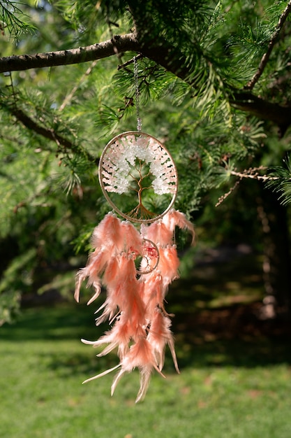 Free photo cool dream catcher outdoors