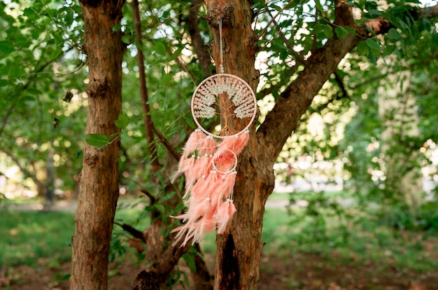 Cool dream catcher outdoors