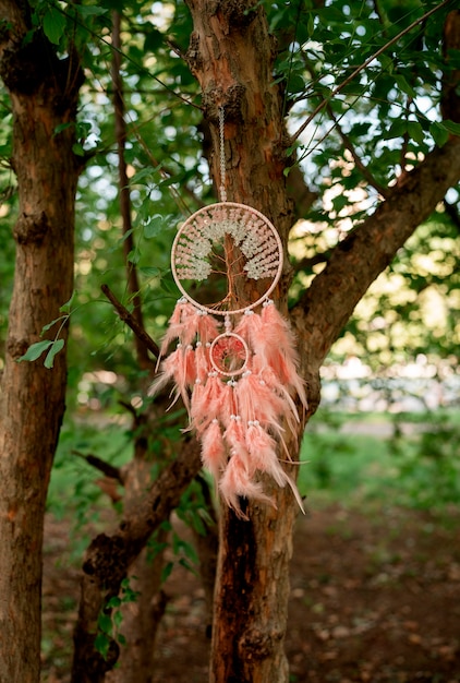 Free photo cool dream catcher outdoors