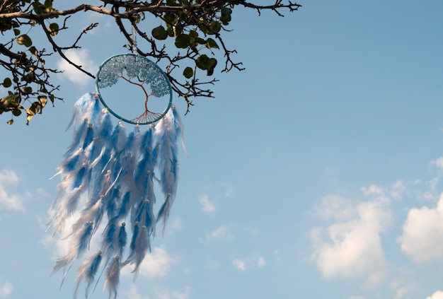 Free photo cool dream catcher outdoors