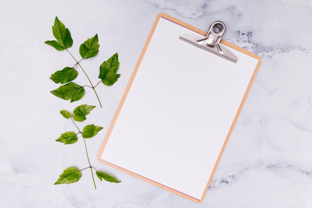 Free photo copy space clipboard with common ash leaves