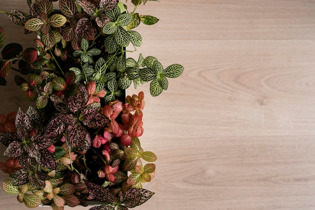 Copy space flower pot on table