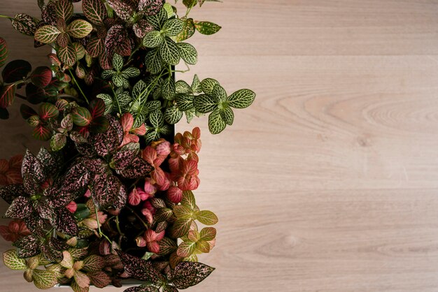 Copy space flower pot on table