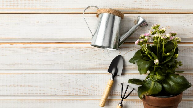 Copy-space flower pot and watering can