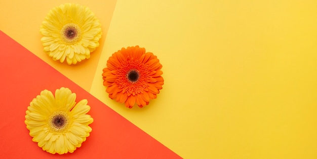 Copy space flowers on desk