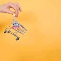 Free photo copy-space hnad holding small cart with black friday design