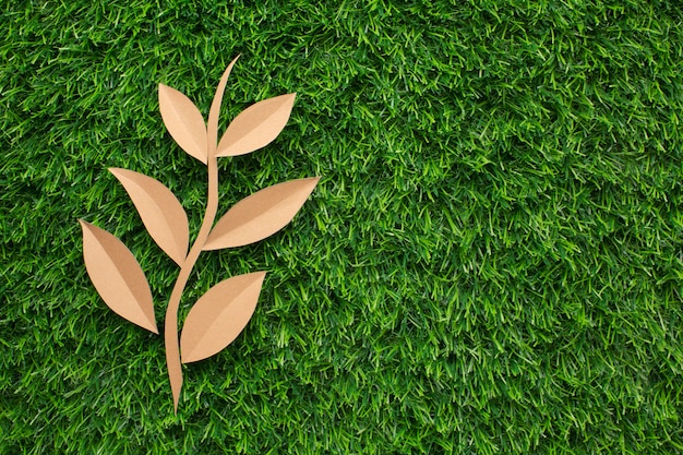 Copy-space leaf shape in grass
