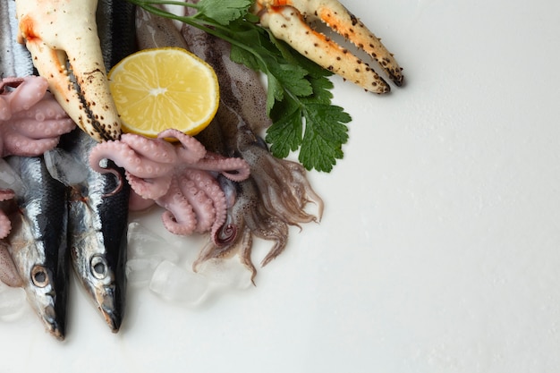 Free photo copy-space mix of delicious seafood