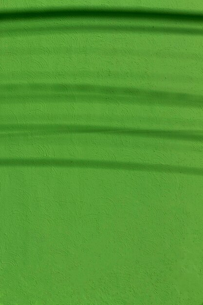 Copy space painted green concrete wall