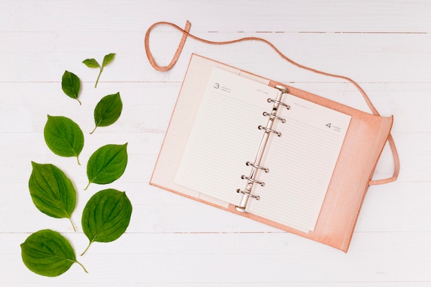 Free photo copy space pink notebook with beech leaves