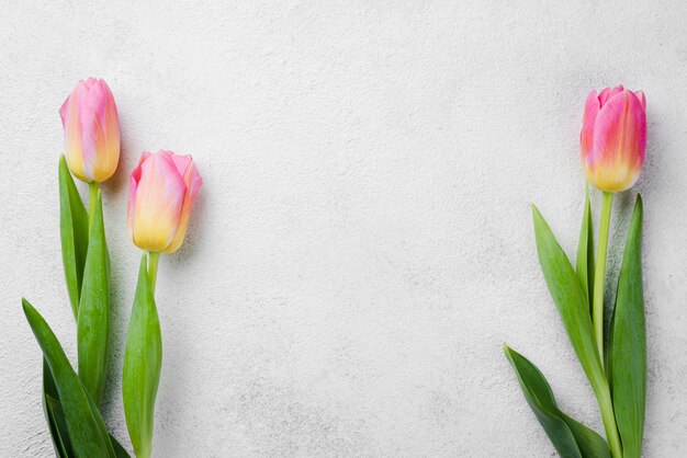 Copy-space pink tulips on table