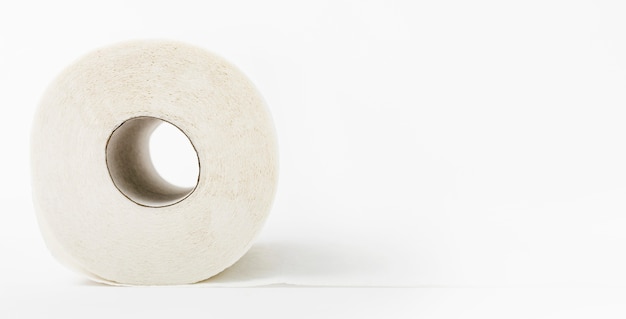 Copy-space plain toilet paper roll