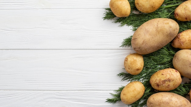 Free photo copy-space potatoes and dill