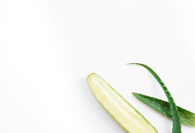Copy space spa background and aloe vera leaves