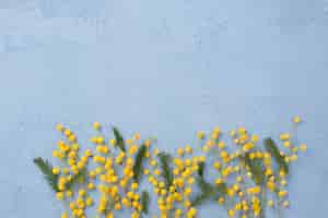 Бесплатное фото copy-space весенние цветы ветки