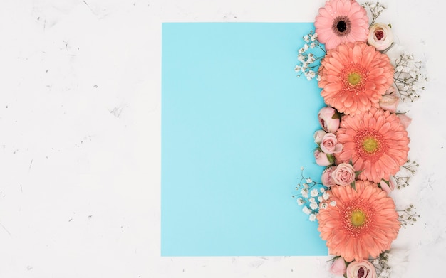 Free photo copy space spring gerbera flowers top view