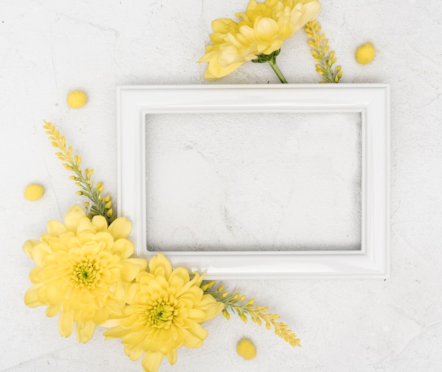 Copy space spring yellow gerbera flowers and frame