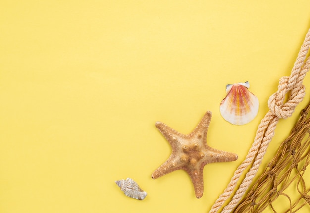 Free photo copy-space starfish and fish net