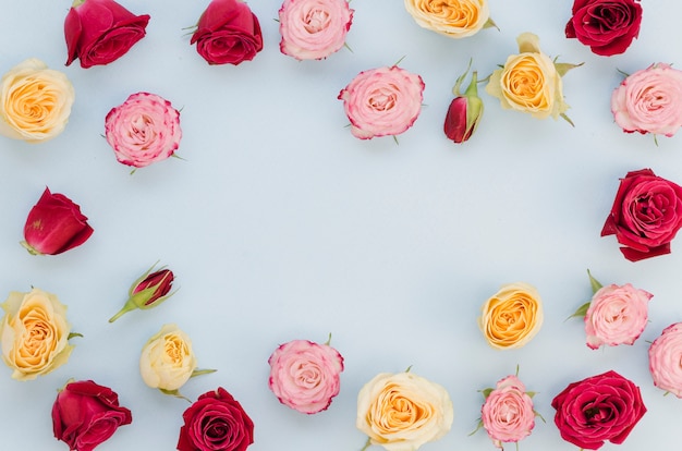 Copy space surrounded by colorful roses