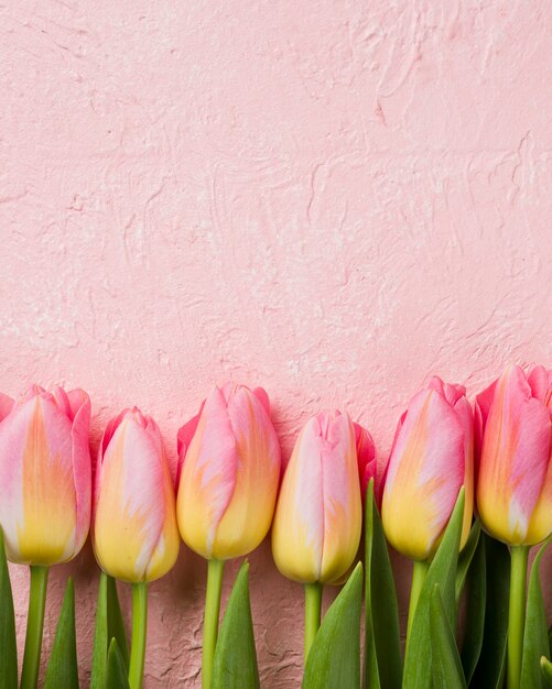 Copy-space tulips aligned on table