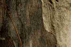 Foto gratuita copi lo spazio struttura di legno arrugginita dell'albero