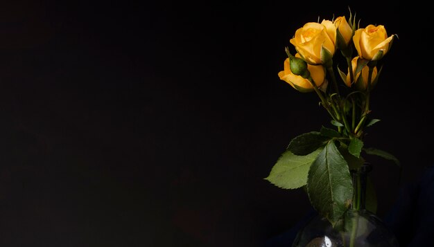 Copy-space yellow roses in vase