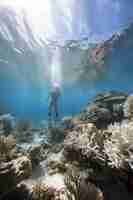 Free photo coral bleaching threat sealife