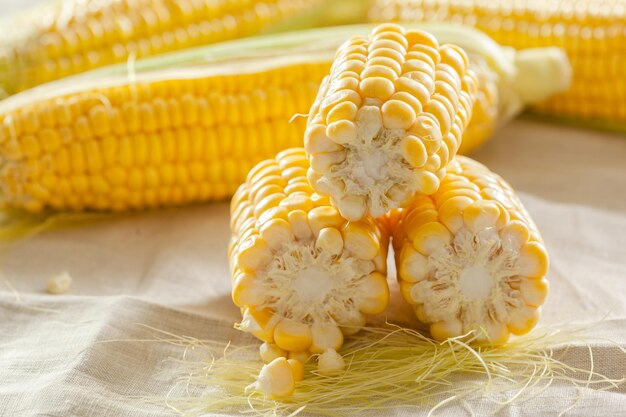 Corn background