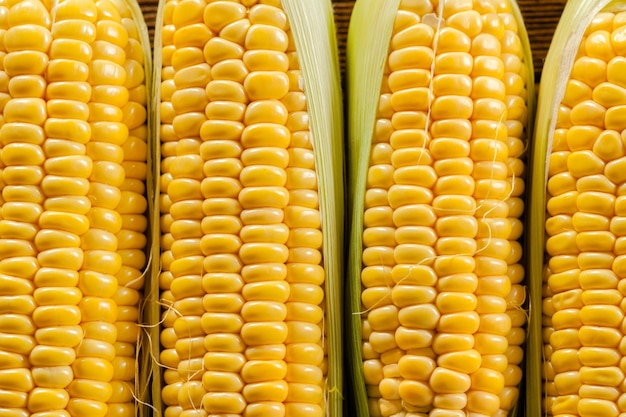 Free photo corn background