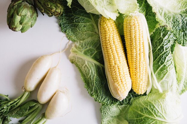 Corn on cabbage leaves near radish