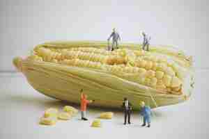 Free photo corn cob with dolls on top