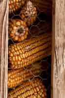Free photo corn cobs country lifestyle
