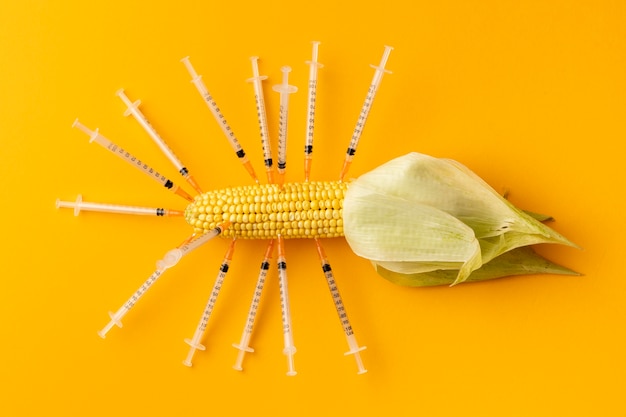 Free photo corn filled with syringes