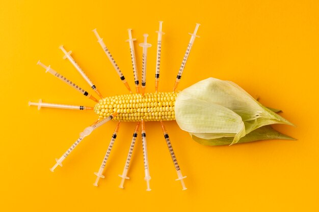 Corn filled with syringes