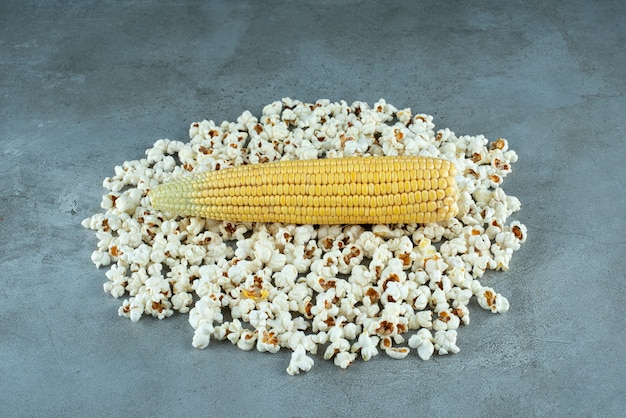 Corn plant seeds and popcorns on blue background. High quality photo