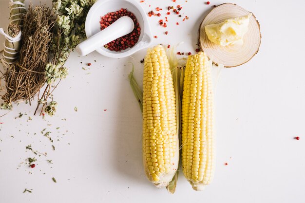 Corn and species on white background