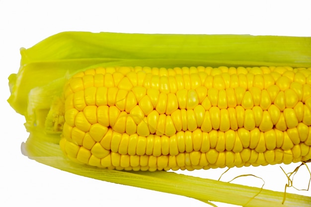 Corn