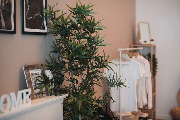 Corner of a room whit simple wardrobe and a plant