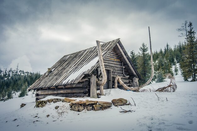 Cottage in the Barania hall