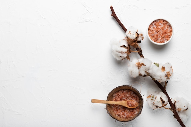 Cotton branch and bowls with natural salt