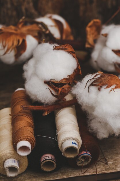 Cotton flowers on wooden table