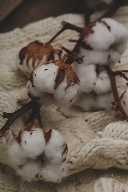 Cotton flowers on wooden tables on wooden table