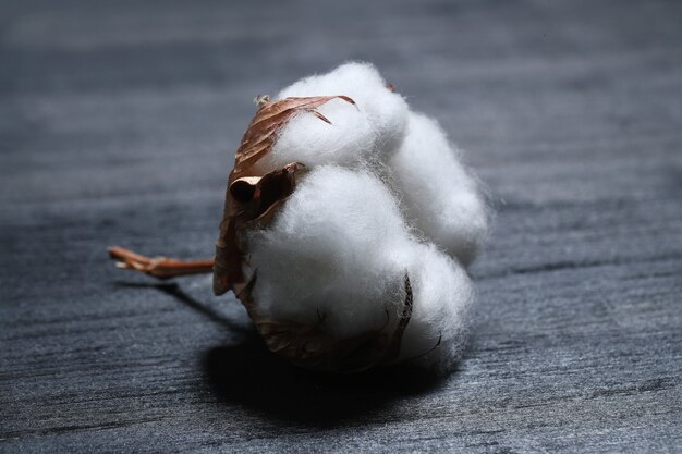 Cotton flowers