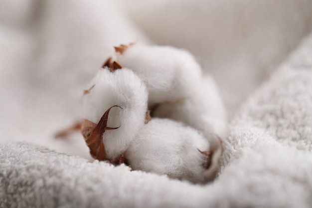 Cotton flowers